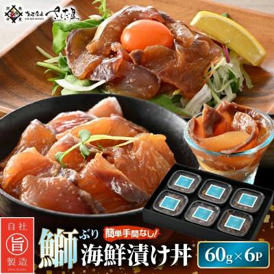 ふるさと納税 越前町 ぶり 海鮮 漬け丼 セット 60g × 6パック