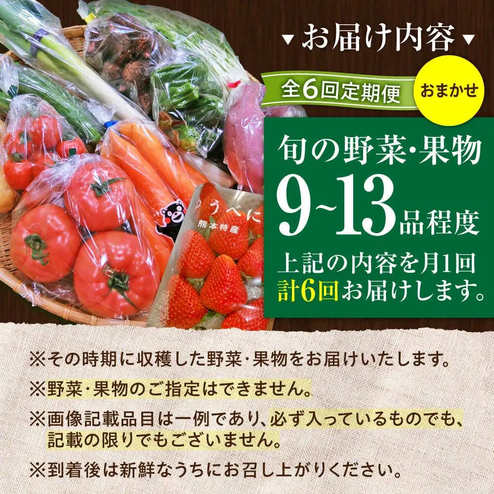 全6回定期便 菊陽町特産品 「 野菜 ・ 果物 などの詰め合わせ」 野菜 果物 BHAK008