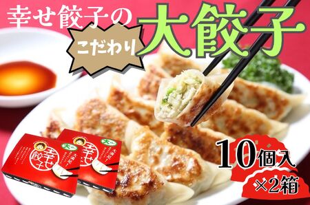 幸せ餃子 ボリューム満点こだわり大餃子（10個入2箱）