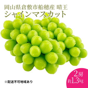 ぶどう 2025年 先行予約 【プレミアムシャインマスカット 晴王 2房 合計約1.3kg 】船穂産 赤秀品以上 岡山県産 葡萄 ブドウ ギフト ハレノフルーツ 皮ごと食べる みずみずしい