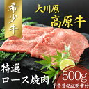 【ふるさと納税】大川原高原牛　特選ロース焼肉　500g［和牛 希少 佐那河内 さなごうち 大川原高原 牛肉 焼肉 ロース 贅沢 バーベキュー BBQ 夏休み キャンプ 弁当 レシピ 冷凍　ギフト 贈答］