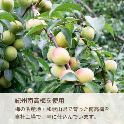 紀州の梅酒 にごり梅酒 熊野かすみと熊野梅酒 ミニボトル300ml(上富田町)