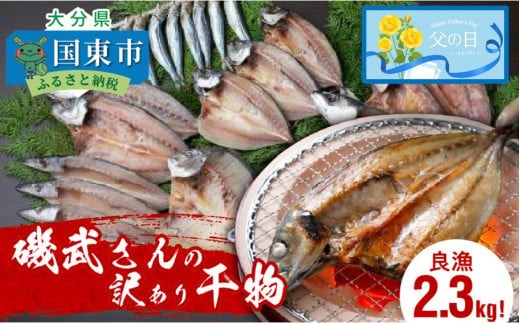 【父の日ギフト】良漁2.3kg!磯武さんの訳あり干物_2410R