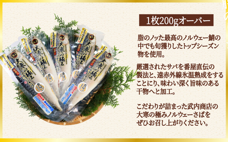 大寒の極み 高級サバ干物 5枚 鯖 さば 塩サバ ノルウェー産 一枚ずつ 梱包 パウチ 高級 お取り寄せグルメ お試し 長期保存 贈答 贈物 贈り物 ギフト プレゼント 送料無料 千葉県 銚子市 武内
