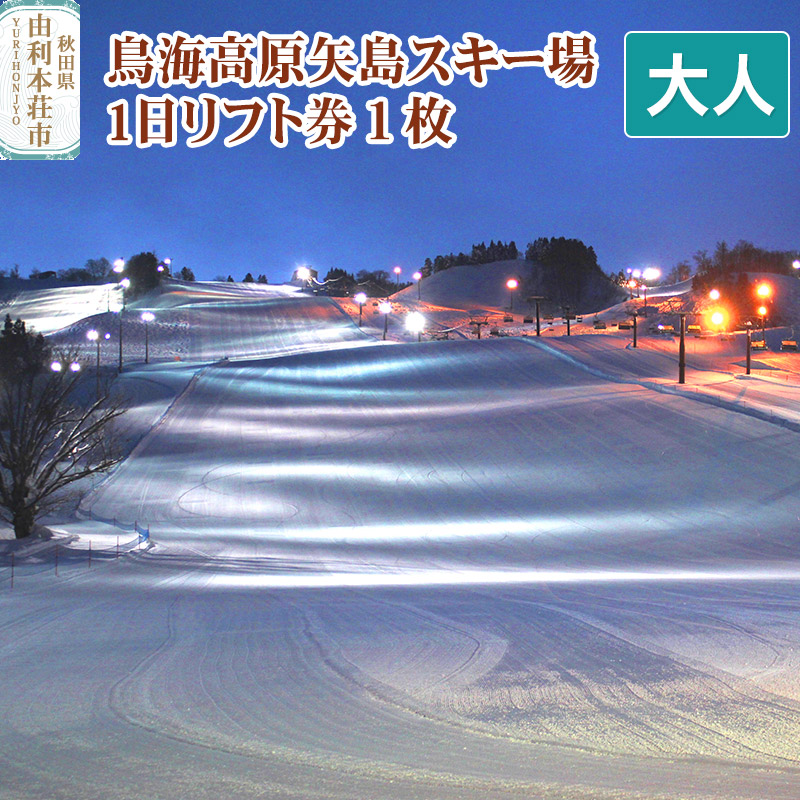 鳥海高原矢島スキー場 リフト1日券 大人1枚