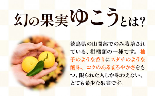 ゆこう の 酒 リキュール 8度 720ml 1本 幻の果実 柚香 株式会社高鉾建設 酒販事業部 《30日以内に出荷予定(土日祝除く)》 徳島県 上勝町 お酒 アルコール 果汁 炭酸割り ロック 国産