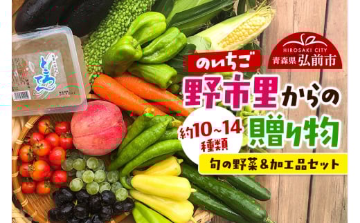 野市里からの贈り物（旬の野菜、加工品約10～14種類程度）【レビューキャンペーン】