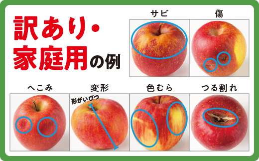 りんご 小ささに訳あり サンふじ（小玉）家庭用5kg 【令和6年度収穫分】 ※沖縄および離島への配送不可 ※2024年12月中旬頃から順次発送予定 大友農場 エコファーマー認定 長野県飯綱町 [138