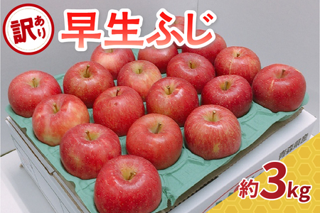 【先行予約2025年10月 発送開始】訳あり りんご 早生 ふじ 約 3kg 青森 産