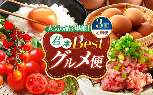 定期便 3回 大人気  !  【 ベストグルメ 便 】 ねぎとろ 永光卵 ミニトマト 君津市 オリジナル  | 清幸丸水産 君津とまとガーデン 光永ファーム ネギトロ とろ 鮪 海鮮 魚介 魚  小分け 人気 定番 ご飯 オススメ  セレクト 卵 たまご スイートベル  プチトマト トマト 高糖度 とまと 千葉県