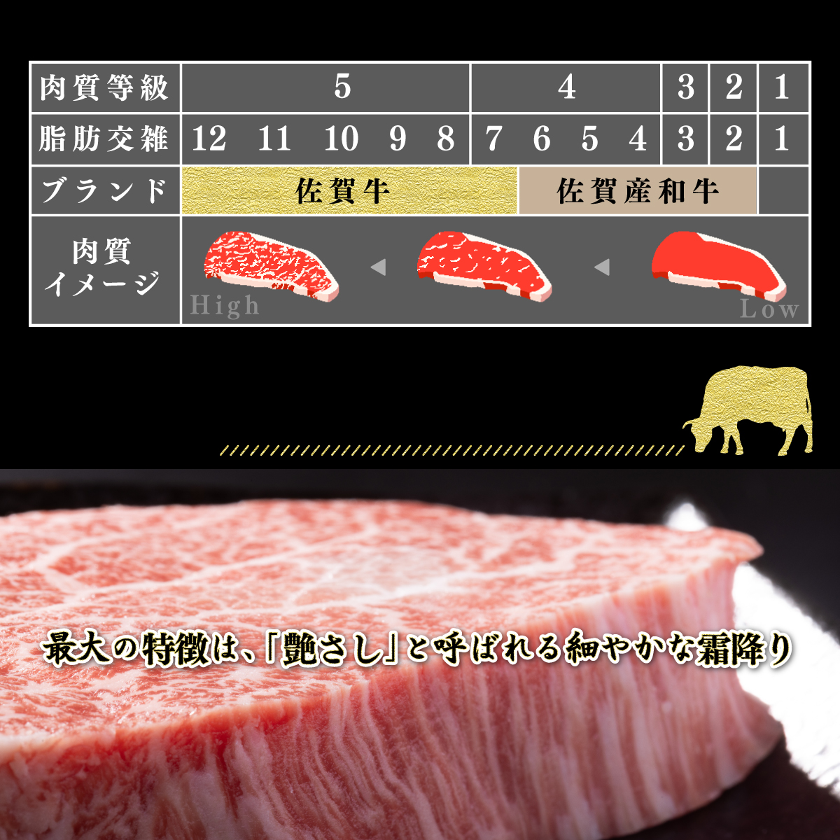 【佐賀牛】しゃぶすき焼き用 (ロース･モモ･ウデ) 500g C-343_イメージ5