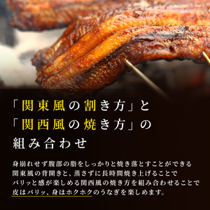 【数量限定】 うなぎ 蒲焼き 2尾 鰻 ウナギ 国産 鰻の蒲焼 うなぎ