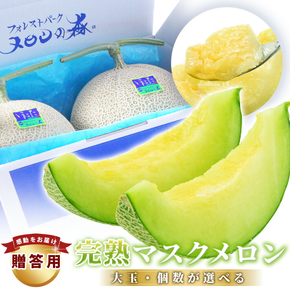 【ふるさと納税】 贈答 高級 メロン ＼大玉／ アールスメロン 1個 2個 約1.5kg～4kg 定期便 ｜選べる発送回数 高級 めろん マスクメロン 甜瓜 おすすめ 人気 国産 青肉 産地直送 茨城 鉾田 フルーツ 旬 プレゼント 贈り物 おいしい 旬 定番 果物 メロンの森 フォレストパーク