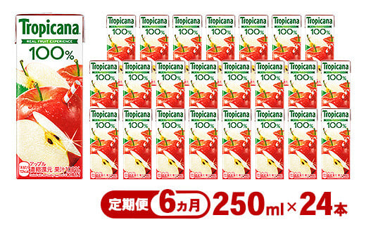 
            【定期便6ヶ月】トロピカーナ 100％ アップル 250ml LLスリム×24本 ※離島への配送不可
          