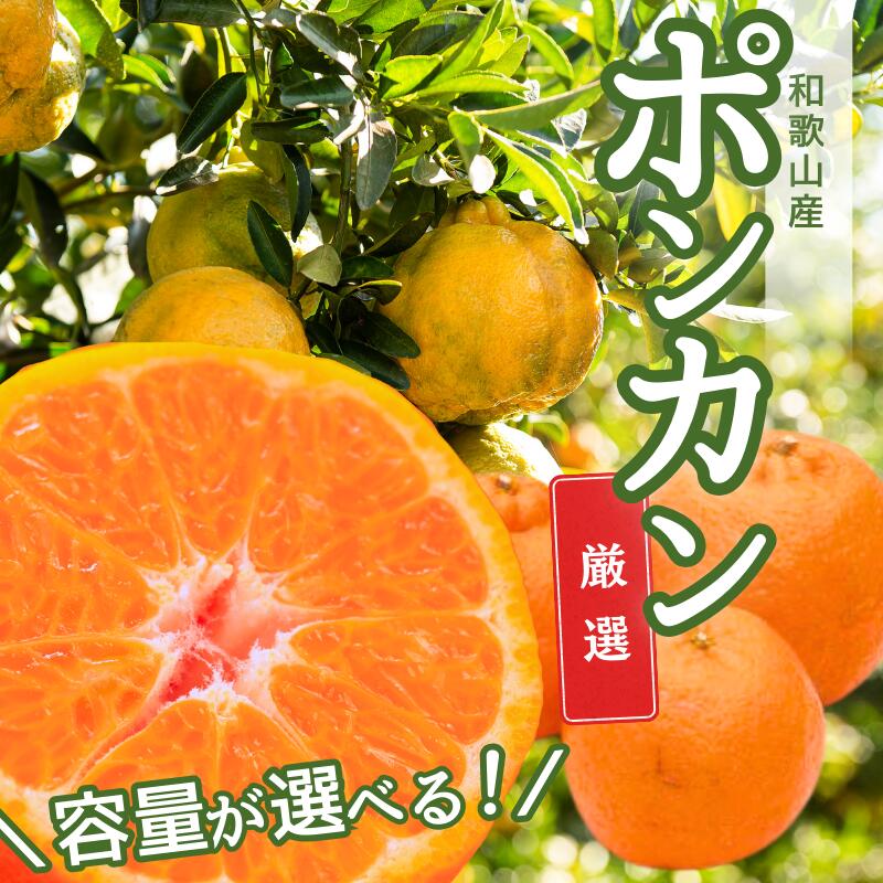 【ふるさと納税】【先行予約】厳選ポンカン 1kg 2.5kg 5kg 7.5kg 10kg （傷み補償分付）＜2026年1月下旬～2月下旬に順次発送＞ ※北海道・沖縄・離島への配送不可 / みかん 果物 フルーツ オレンジ 柑橘 ぽんかん 和歌山 有田みかん 和歌山 おすすめ くだもの