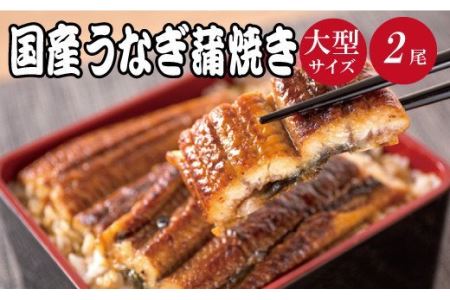 大型サイズ　ふっくら柔らか国産うなぎ蒲焼き　２尾【uot302A-3】