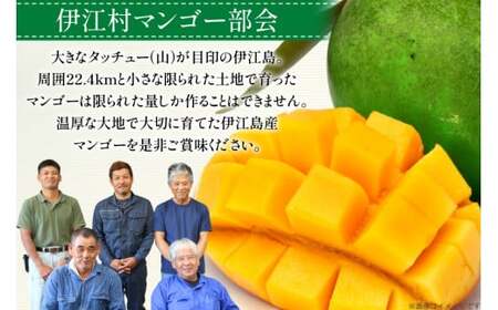 マンゴー 家庭用 キーツ マンゴー 約 2kg (2〜3玉) 【期間限定発送】 [伊江村マンゴー部会 沖縄県 伊江村 ie47bde320000] 