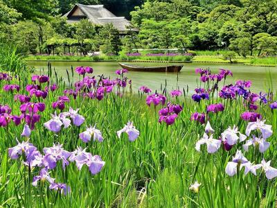 国指定名勝三溪園　招待券（２枚）