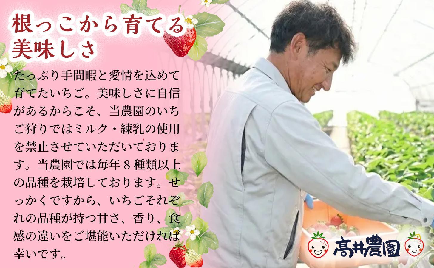 【甘さと爽やかさの贅沢セット】いちごミルクアイス＆いちごシャーベット 各15個 計30個 いちご イチゴ アイス シャーベット 果物 フルーツ 大粒 濃厚 産地直送 詰め合わせ ギフト 贈答用 兵庫県