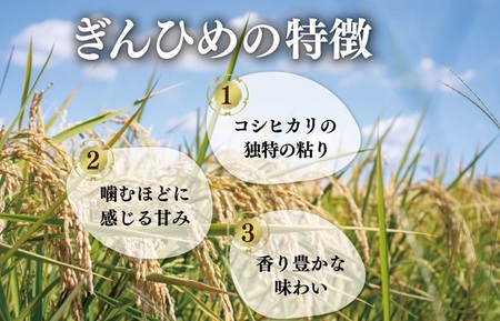 米 三重県産 コシヒカリ ぎんひめ  5kg×1袋