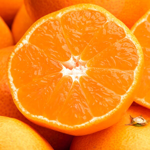 瀬戸内温州みかん（2L～Mサイズ混合）約2.5kg【10月中旬～1月下旬配送予定】