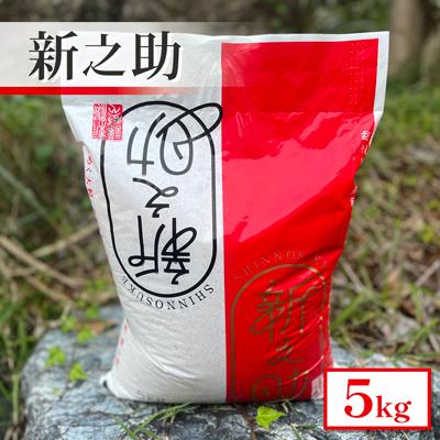 ふるさと納税 五泉市 【令和7年産米】新潟県産　新之助　5kg