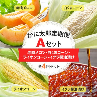 【発送月固定定期便】かに太郎定期便A　メロン、とうもろこし(黄色・白)、イクラ_01193_全4回【配送不可地域：離島】【4079164】