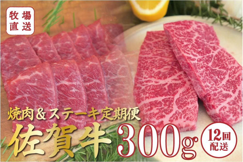 
            【定期便セット】全12回 佐賀牛の焼肉＆ステーキセット / 焼肉用赤身300g、ステーキ用赤身300g TOMMY BEEF
          