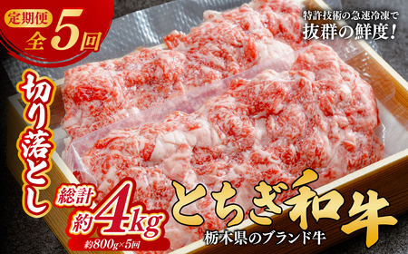 ＜定期便5回＞とちぎ和牛の切り落とし 800g × 5回 総計約4kg【栃木県共通返礼品】| 和牛 定期便 栃木県 茂木町
