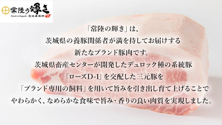 【 常陸の輝き 】 豚 切り落とし 500g×6パック （ 約3kg ） (茨城県共通返礼品) 