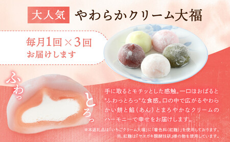 【定期便】やわらかクリーム大福（5種13個×全3回）| 和菓子 大福 食品 人気 飛騨高山 サカイ食品 GC100