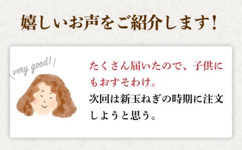 【毎日のお料理に】江北町産 たまねぎ 約10kg【百武青果】 [HAE017]