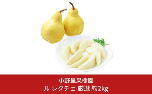 
ル レクチェ 厳選 約2kg(4～6個) ル・レクチェ 新潟県産 洋梨 [小野里果樹園] 【011S156】
