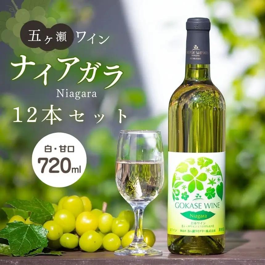 五ヶ瀬ワイン　ナイアガラ（白・甘口）１２本セット