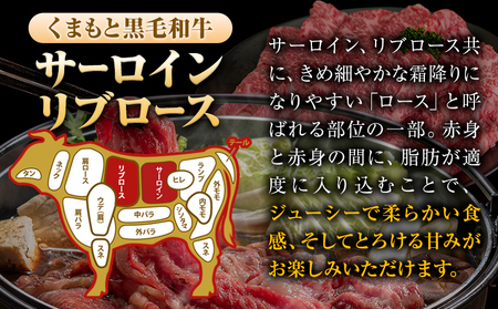 くまもと黒毛和牛 サーロイン リブロース ローススライス 600g 牛肉 冷凍 《30日以内に出荷予定(土日祝除く)》くまもと黒毛和牛 黒毛和牛 スライス 肉 お肉 しゃぶしゃぶ肉 すきやき肉 すき焼