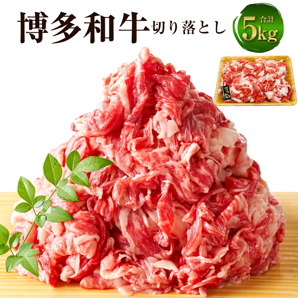 【ふるさと納税】博多和牛 切り落とし 5kg（500g×10パック）黒毛和牛 牛肉 肉 お肉 国産牛 国産牛肉 和牛 牛肩 肩肉 赤身 牛バラ バラ肉 料理 冷凍 お取り寄せグルメ 博多 九州 福岡県 福津市 送料無料 [G0097]