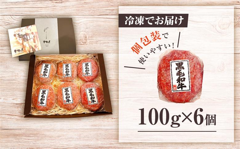 黒毛和牛100% ハンバーグ 100g×6個 ＜ミクリヤ畜産＞ [CFD025]