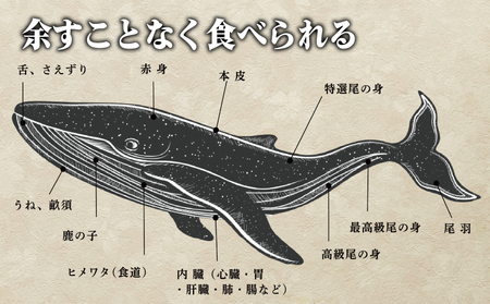 鯨 えびす肉 焼肉盛り1kg 鯨 FG031