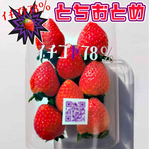 早く見つけて～！！甘い！美味しい！と巷で噂の苺をいっぱい食べてる人程食べてほしい♥ とちおとめ260g×4パック | いちご 苺 イチゴ 約 1キロ フルーツ おいしい トチオトメ 取り寄せ お取り寄せ ギフト 贈答 贈り物 プレゼント  茨城県 古河市 直送 農家直送 産地直送 送料無料 ※北海道・沖縄・離島への配送不可 ※2025年12月下旬頃より順次発送予定 _FE01