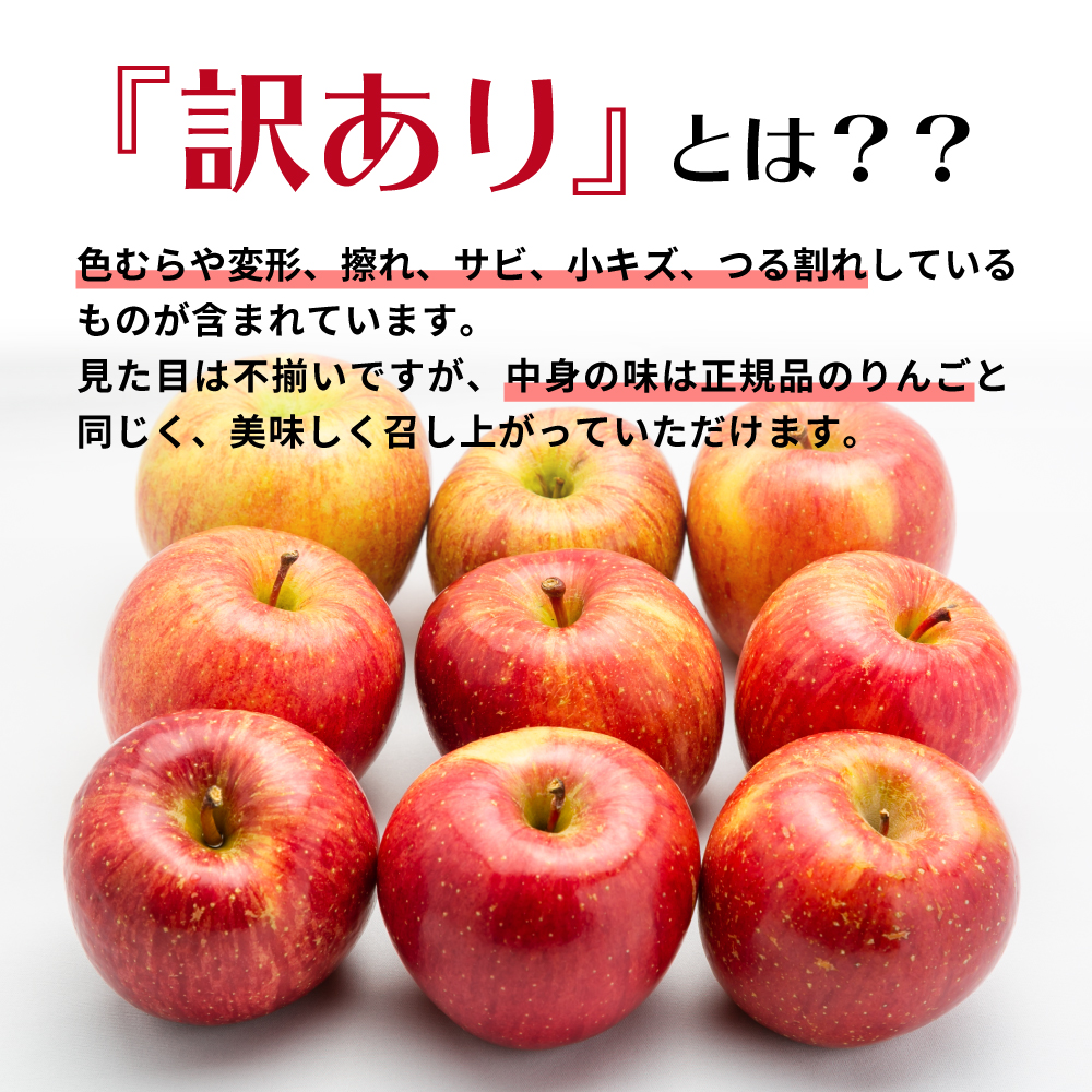 【2026年11月中旬発送】【訳あり】 りんご 3kg サンふじ 青森