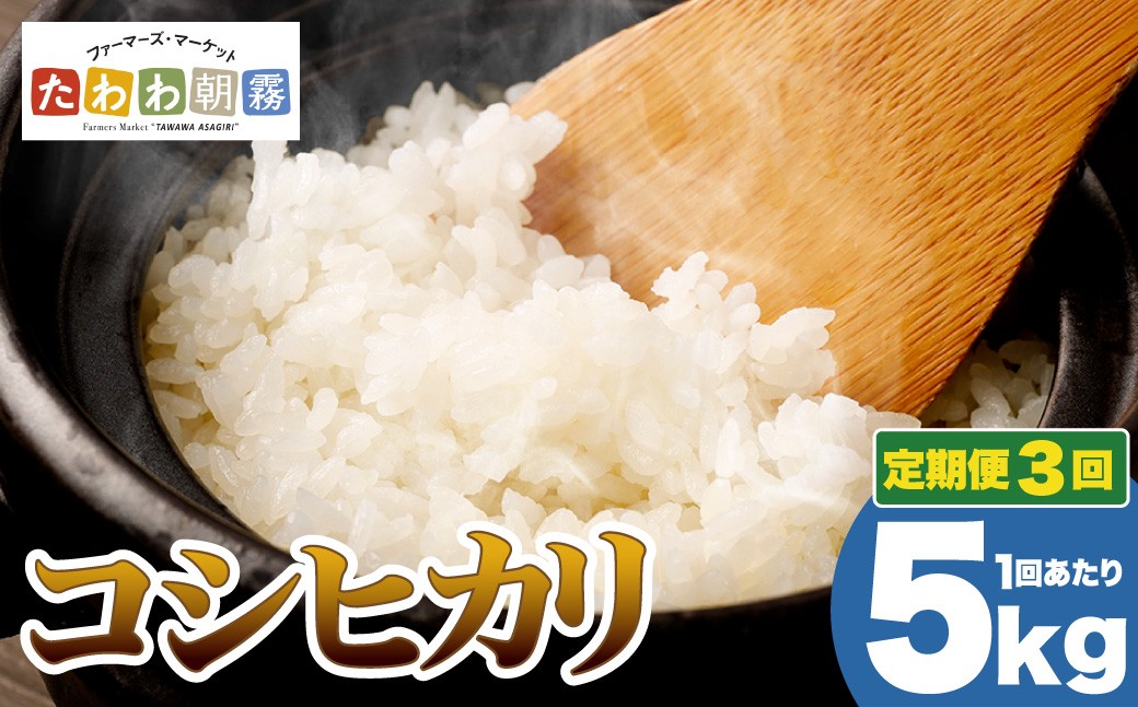 
                  【期間限定 生活応援】京都丹波産 こしひかり 精米 5kg × 3回 定期便【JA京都たわわ朝霧】 白米 米 お米 こめ コメ ライス ご飯 ごはん ふっくら つやつや おいしい 美味しい 贈り物 単一原料米 国産 コシヒカリ 仕送り お取り寄せ 令和7年産米 産地直送 定期便米 米定期便 人気 おすすめ 5キロ 15キロ ５ｋｇ １５ｋｇ ５キロ １５キロ
                