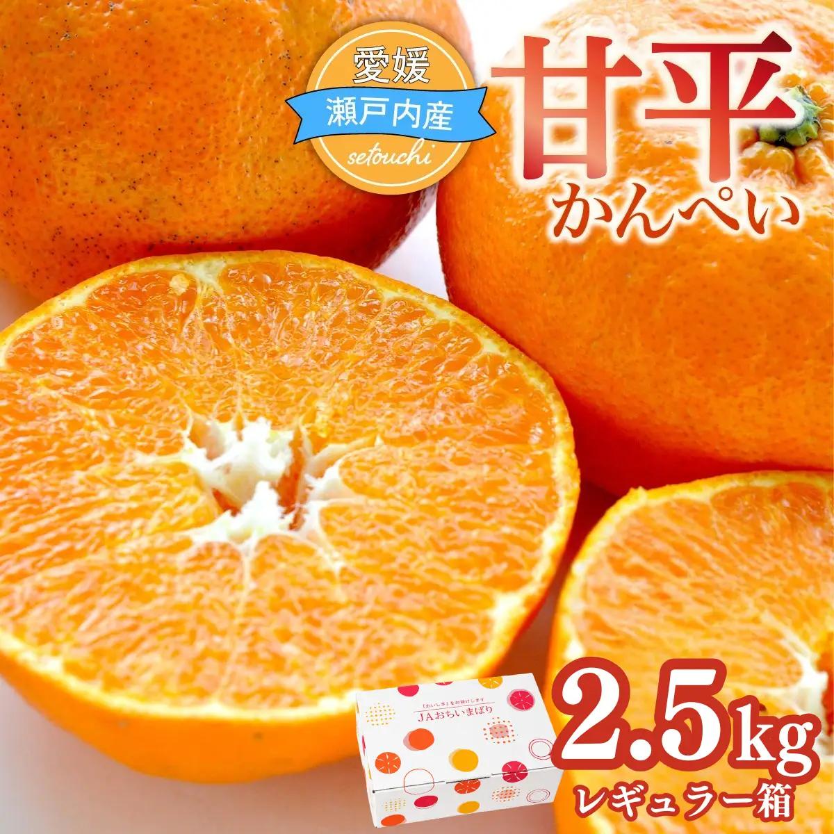 甘平 ＜先行受付＞ レギュラー箱 2.5kg 愛媛 みかん
