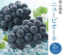 【ふるさと納税】岡山県産 ぶどう 葡萄 ブドウ 種無しぶどう ニューピオーネ ピオーネ 2房 果物 スイーツ フルーツ お取り寄せ ギフト 贈答用 デザート 旬 ニューピオーネ 2房(1房480g以上)