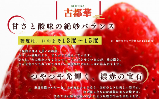 【定期便2回】平群の古都華 2L～3Lサイズ （2パック 1ケース） 計2パック | 先行予約 1月 2月 お届け いちご 苺 古都華 フルーツ 果物 くだもの ブランド 苺  甘い 大人気 旬 送料