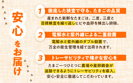農場たまご めぐみ 30個 定期便6回 割れ保証付き 卵 たまご 定期便 卵