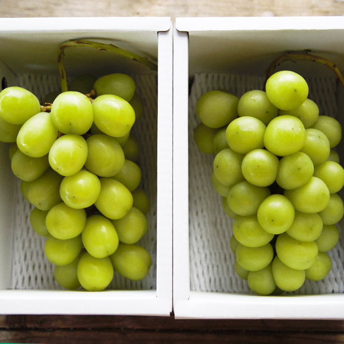 おすそ分けにおすすめ！シャインマスカット 秀品 約1.2kg(約600g以上1房×2箱) 【令和8年産先行予約】FS23-766