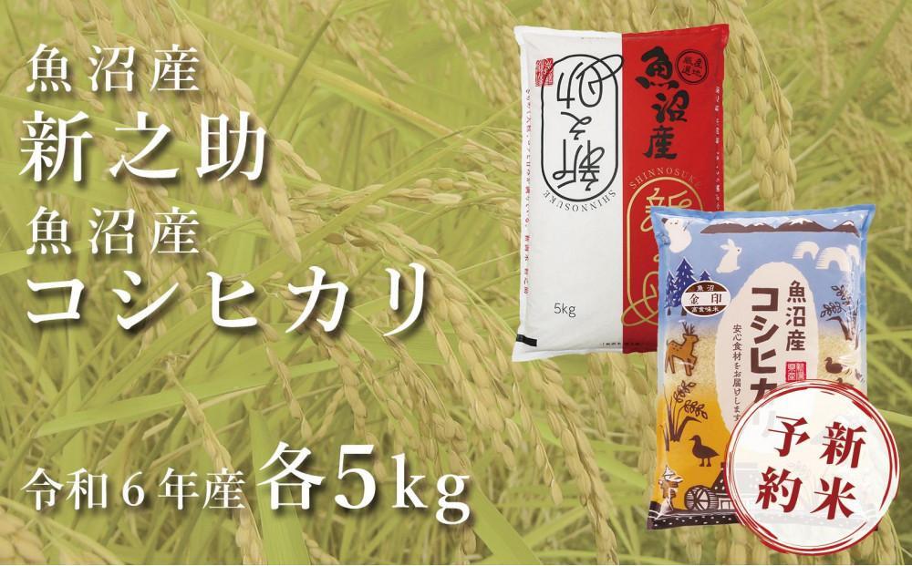 ＜令和6年産＞中魚沼産「新之助」5kg ＋ 魚沼産コシヒカリ「金印」5kg 食べ比べセット