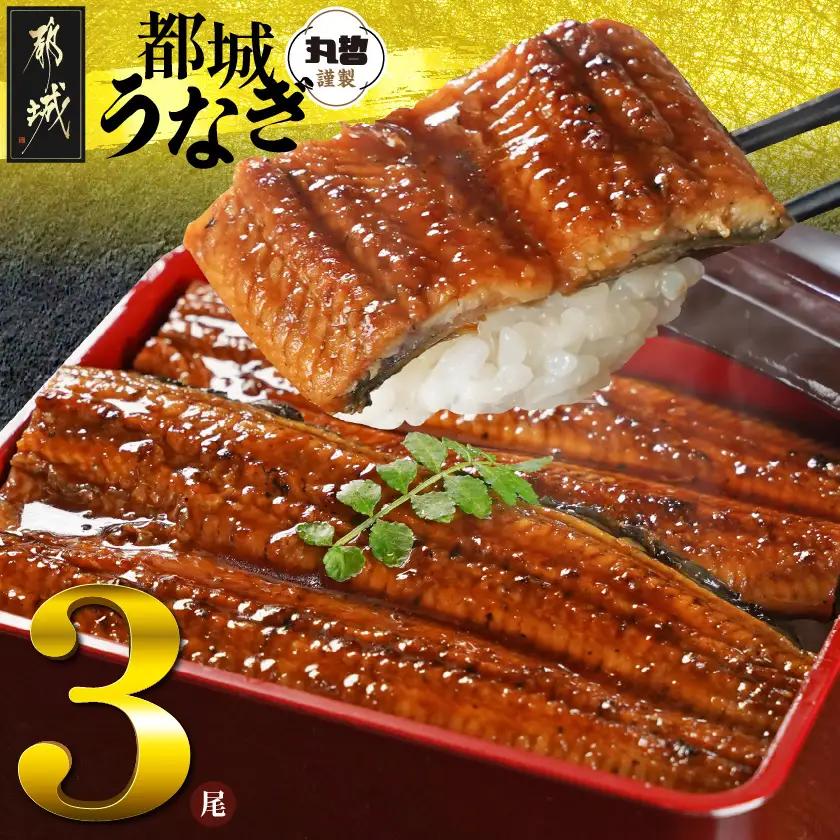 宮崎県育ちのうなぎ蒲焼3尾500g以上≪山椒・たれ付≫〔19-M3-005-3〕_(都城市) うなぎ蒲焼(有頭) 宮崎県産 真空 山椒・たれ付