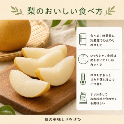 紀州和歌山産の梨　約2kg　化粧箱入【配送不可地域：離島・北海道・沖縄県】