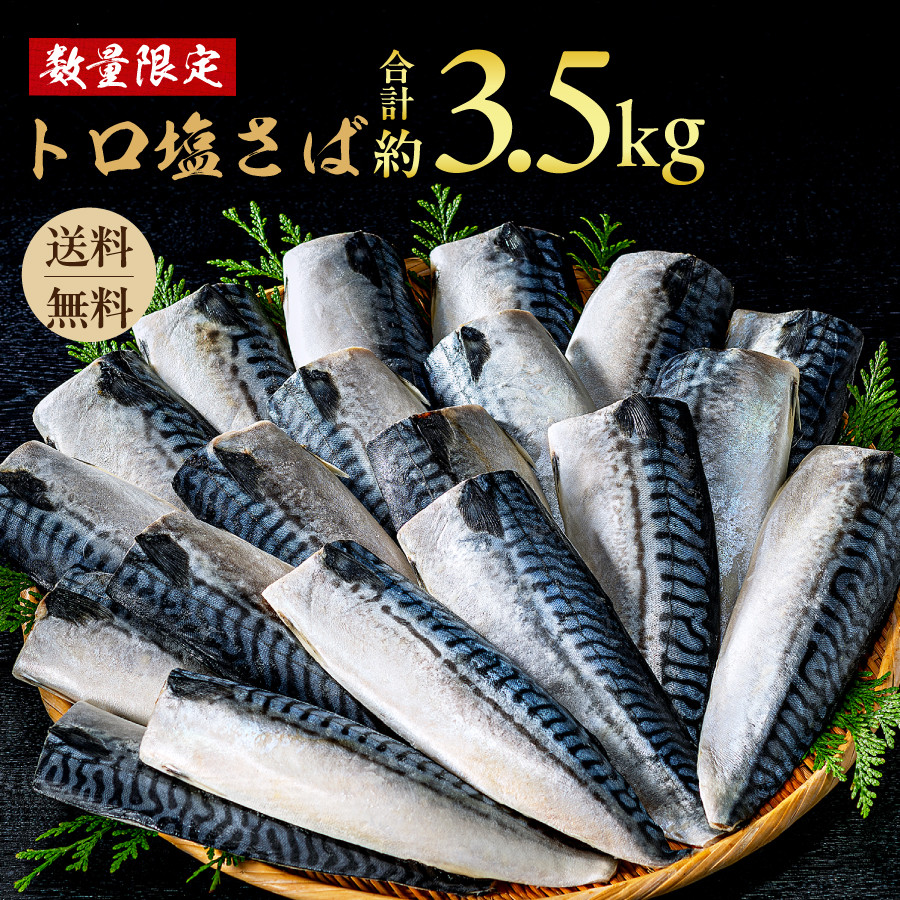 
【訳あり】 トロ 塩サバ フィレ3.5kg 塩鯖 美味しいさば 魚 海鮮 家庭用 おかず 規格外 飯田商店 千葉 銚子
